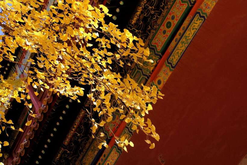 Forbidden City Of Beijing Tickets Booking And Other Option - Entry rules that can make or break your visit
