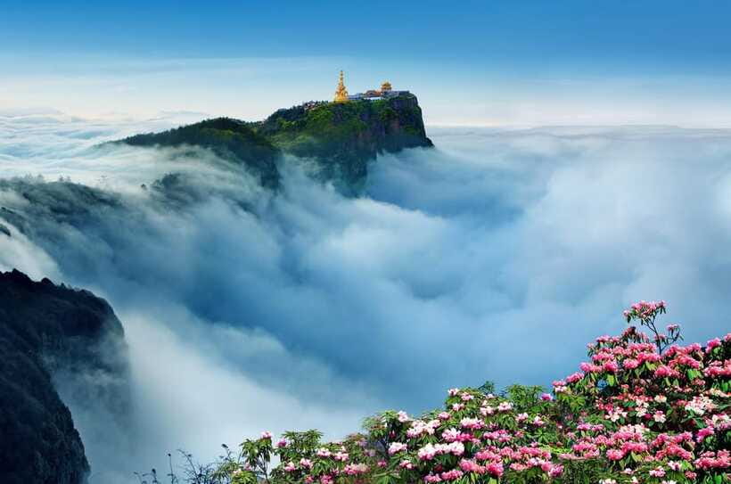 From Chengdu: Mount Emei Day Trip with Golden Summit Visit - Price and value: what you’re paying for in this Chengdu to Emei route