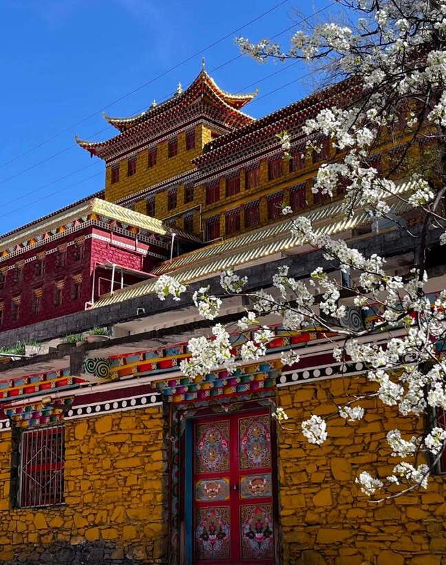 From Chengdu: Tibetan Village Live as a Tibetan Day Tour - Hiking time with prayer flags: a gentle climb that adds meaning