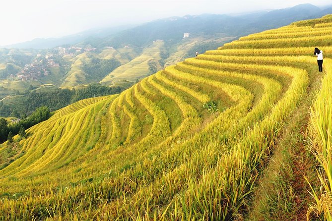 From Guilin/Yangshuo: Longji Rice Terraces and Ethnic Minority Village Day Tour - Getting there from Guilin: the 2.5-hour mountain run
