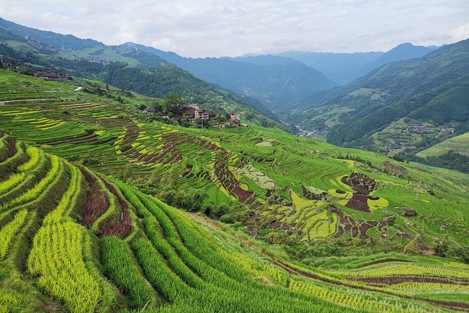 From Guilin/Yangshuo: Longji Rice Terraces and Ethnic Minority Village Day Tour - Village life with the Zhuang and Yao people