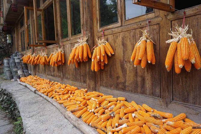 From Guilin/Yangshuo: Longji Rice Terraces and Ethnic Minority Village Day Tour - Timing and pacing: how the day usually feels
