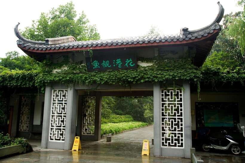 From Shanghai: Hangzhou Private Day Trip by Bullet Train - Key highlights to look for on this Hangzhou day trip