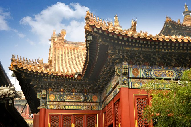 Full-Day Beijing City Tour: Hutongs, Lama Temple and Panda House - Getting to each stop smoothly from central Beijing
