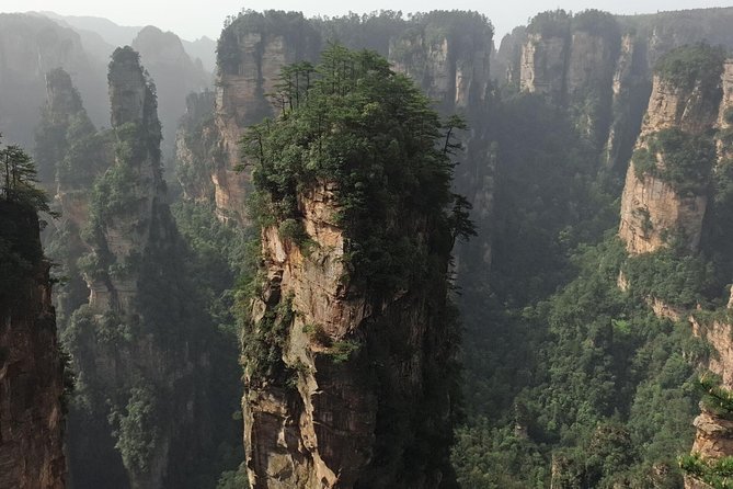 Full-Day Private Tour of Zhangjiajie(Wulingyuan) National Forest Park - Bailong Elevator and Golden Whip Brook for contrast