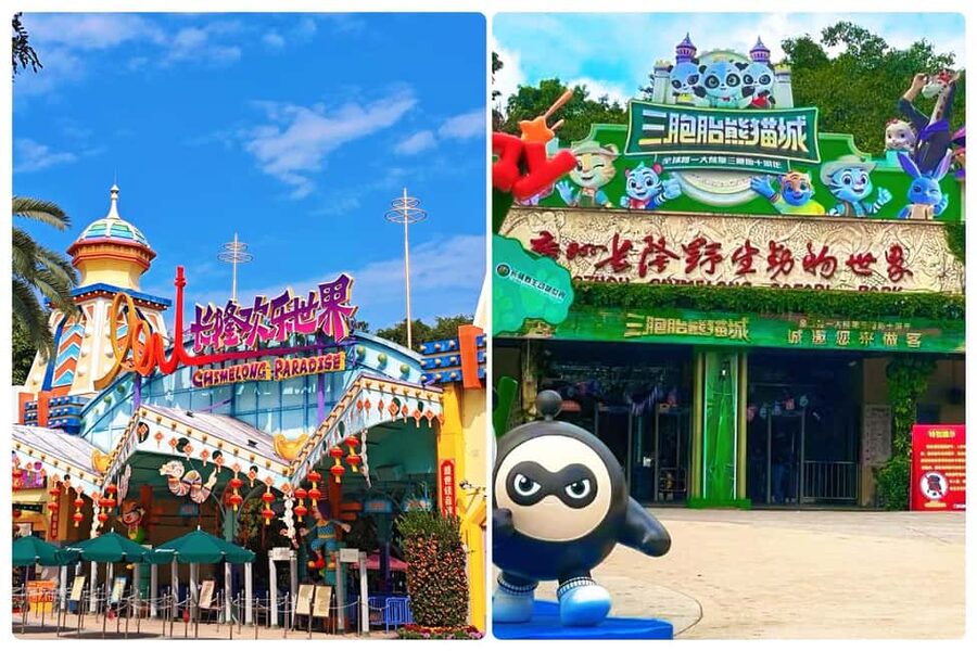 Guangzhou Chimelong: Safari Park/Paradise（Optional Day Tour） - Price and What You Actually Get for $40