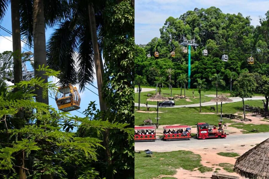 Guangzhou Chimelong: Safari Park/Paradise（Optional Day Tour） - Paradise: World-Class Coasters and Family-Friendly Chaos