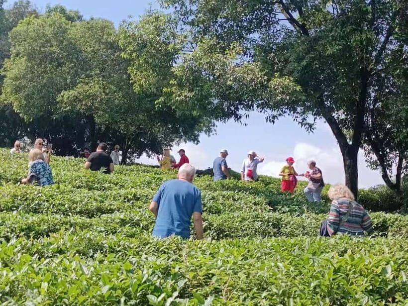 Guilin: City Tour with Elephant Hill & Ming Tea Tasting - Key highlights worth your attention