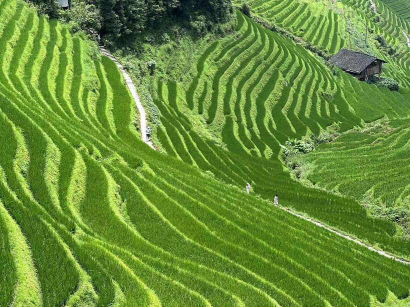 Guilin: Day tour of Longji Rice Terraces and Yangshuo - Key points at a glance