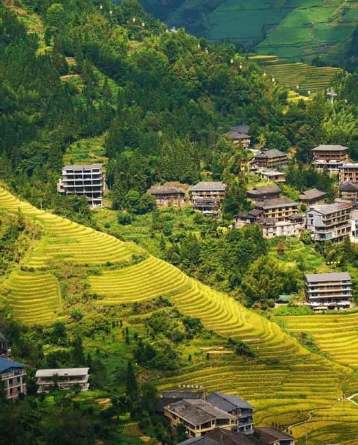 Guilin Longji: Rice Terrace with Oil-Tea Demo & Zhuang Lunch - Key things I’d plan around