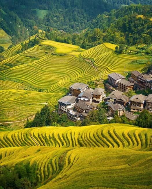 Guilin Longji: Rice Terrace with Oil-Tea Demo & Zhuang Lunch - Guzhuang Village and the museum of daily tradition
