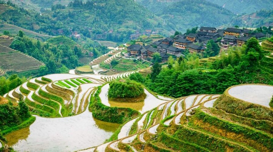Guilin: Longji Rice Terraces& Long Hair Village Private Tour - Long Hair Village and the Yao Tradition: Culture With a Human Face
