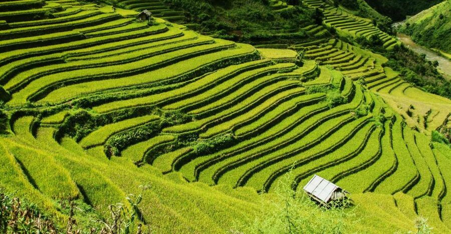 Guilin Longji Terraces Private Day Tour - Key Things You’ll Notice on This Longji Day Trip