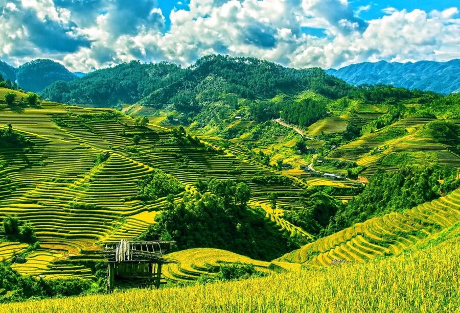 Guilin Longji Terraces Private Day Tour - Longji Terraces in One Day: The Big Picture in 9.5 Hours