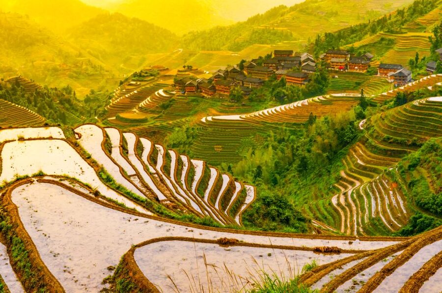 Guilin Longji Terraces Private Day Tour - Pace, Lunch, and the Reality of 9.5 Hours