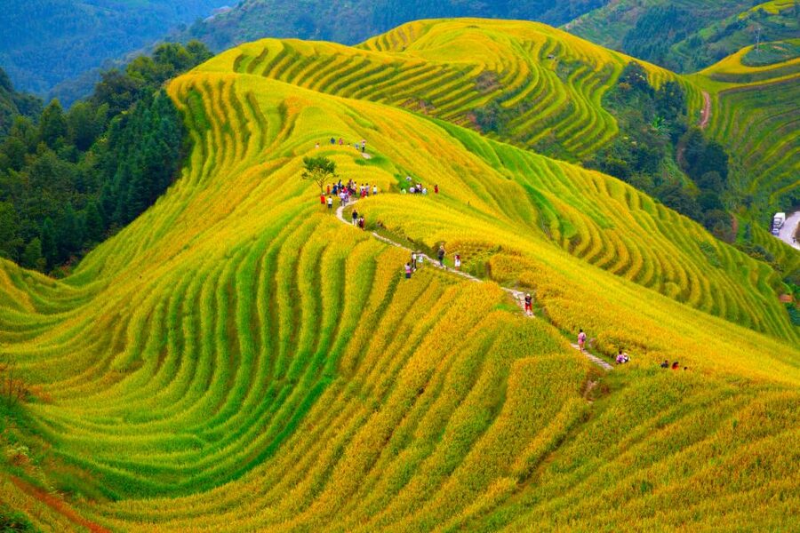 Guilin Longji Terraces Private Day Tour - The 8am Pickup and the Two-Hour Countryside Drive