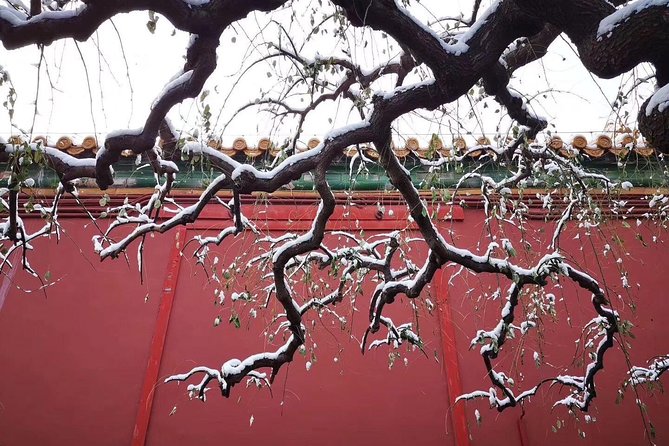 Half Day Beijing Group Tour to Tiananmen Square and Forbidden City - Tiananmen Square at 8:00 AM: Architecture Walk and Quick Orientation