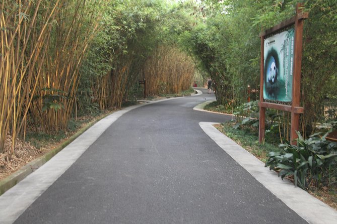 Half-Day Chengdu Panda Research Base Private Tour - Half-day timing in Chengdu: morning pickup is your best bet