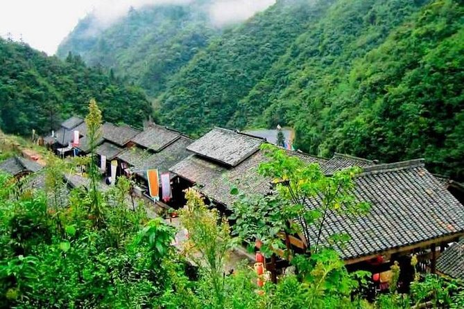 Half-Day Flexible Private Hangzhou Highlight Tour - What the guide actually adds to West Lake, tea fields, and Lingyin