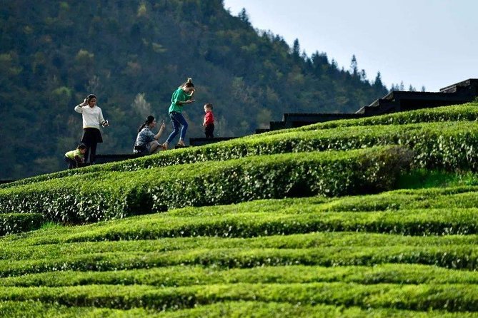 Half-Day Flexible Private Hangzhou Highlight Tour - Getting to West Lake fast with hotel or station pickup