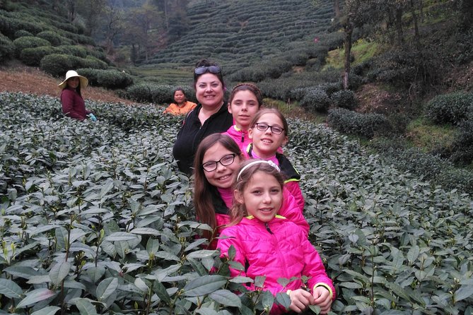 Half-Day Hangzhou Private Tour with Green Tea Village and Lingyin Temple - Feilai Peak and the stone Buddhas you see first
