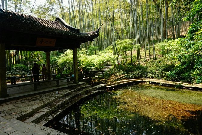 Half-Day Hangzhou Yunxi Bamboo Forest and Tea Plantation Experience - Key things that make this tour worth your time
