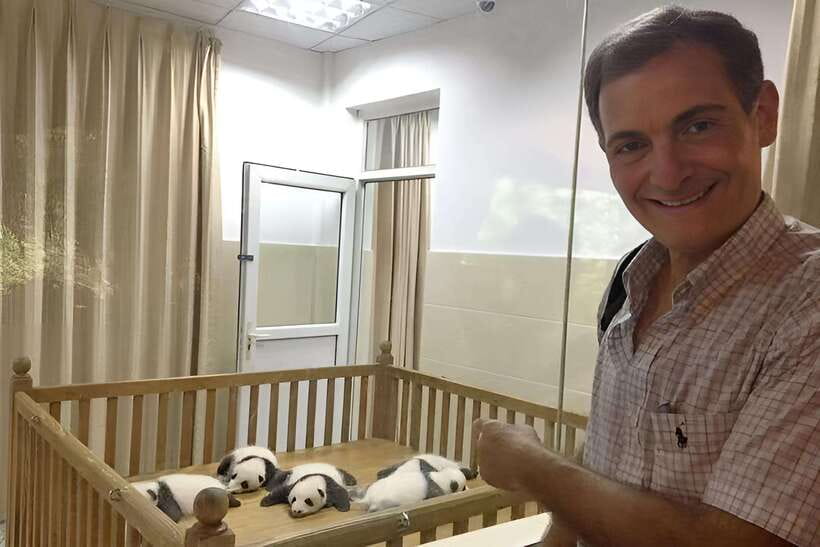 Half day small group tour to Chengdu Panda Breeding Center - Three hours inside the breeding center: cubs, adults, and bamboo breaks