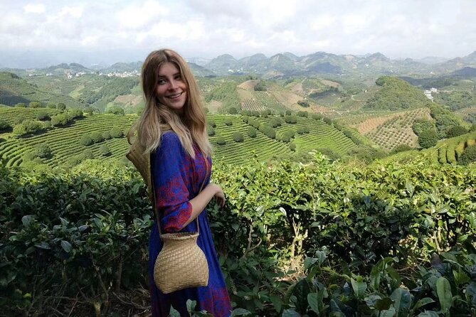Half-day Tour: Largest Tea Plantation & Amazing Xianggong Hill - Key things to know before you go