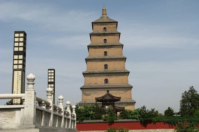 Half Day Tour to Xi'an Wild Panda Breeding and Protecting Center - Lunch and Break Time: Why It’s Built In