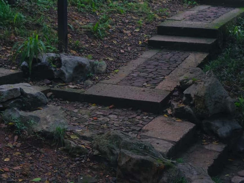 Hangzhou Insider Mini-Hike: TCM, Hill Views and Wet Market - Should you book this Hangzhou Insider Mini-Hike?
