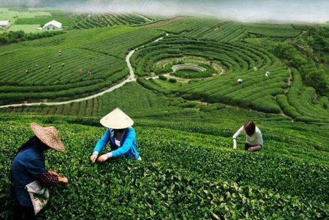 Hangzhou Private Customized Day Trip from Shanghai by Bullet Train - West Lake at UNESCO level: how to enjoy it without getting stuck