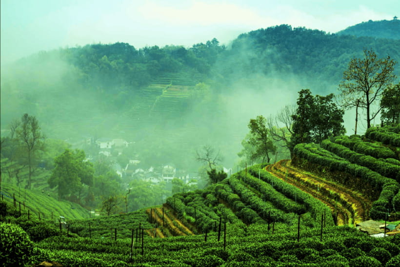 Hangzhou Private Day Trip by Bullet Train from Shanghai - Price and logistics: what you are actually paying for