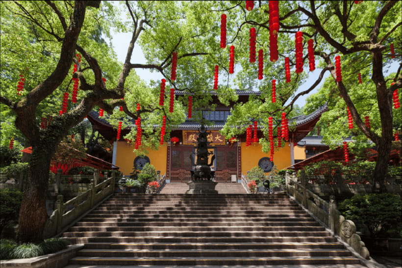 Hangzhou Private Day Trip by Bullet Train from Shanghai - How to get the most out of the day