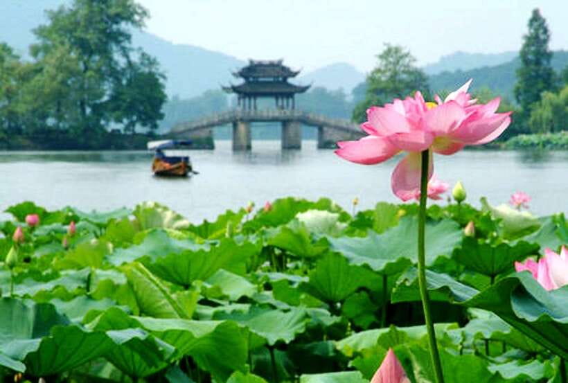 Hangzhou Private One Day Trip from Shanghai by Bullet Train - Longjing tea village: tasting tea, then learning how it is made