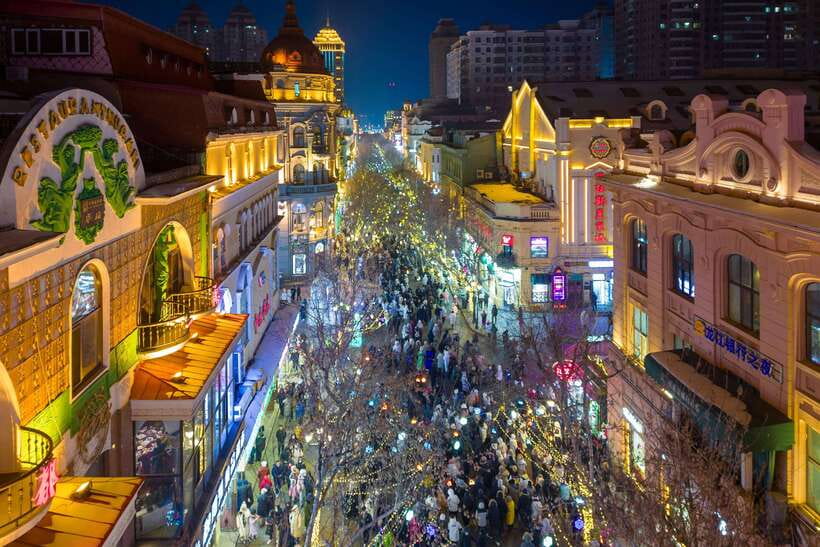 Harbin Ice and Snow Fairyland Private Day Tour - Harbin in winter: why Ice and Snow World feels like a whole city