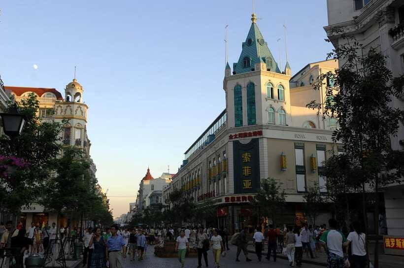 Harbin Ice and Snow Fairyland Private Day Tour - Cold-weather reality check, and why the guide matters