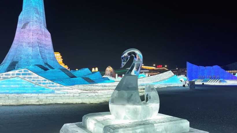 Harbin Ice and Snow Fairyland Private Day Tour - Should you book this Harbin Ice and Snow Fairyland private day tour?