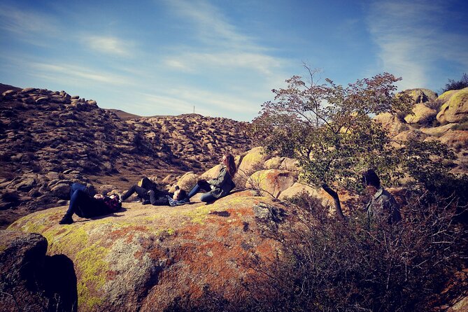 Huhhot 4D3N Inner Mongolia Grassland and desert nature tours - Your private Hohhot base: how the day-to-day works