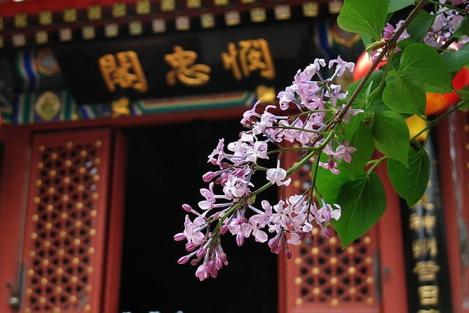 Imperial Splendor: Private 2-Day Beijing Discovery Tour - Summer Palace: the imperial retreat after the big climb