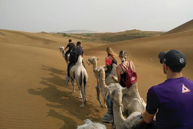 Inner Mongolia Hohhot 1Day Kubuqi Desert (Whistling Dune Bay)Tour - A quick reality check on this Hohhot desert day