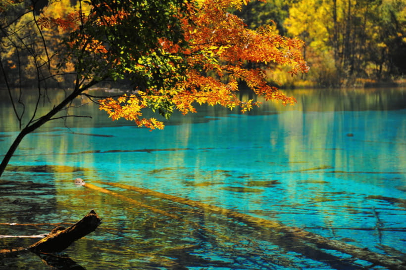 Jiuzhai Valley National Park：Visit Colorful Fairy Tale World - Price and value: what about $38 actually buys you