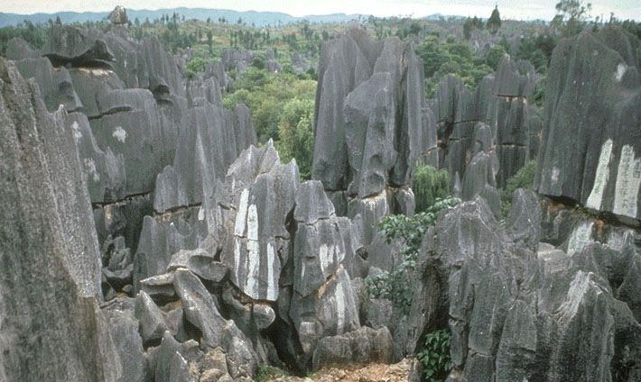 Kunming: Stone Forest Private Day Tour - Key highlights at a glance