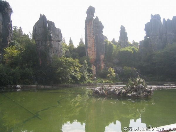 Kunming: Stone Forest Private Day Tour - Who this tour suits, and who should skip it