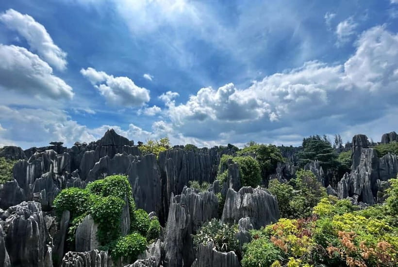 Kunming: Stone Forest, Roast Duck Lunch and City Tour - Stone Forest’s surreal rock maze, explained in plain language