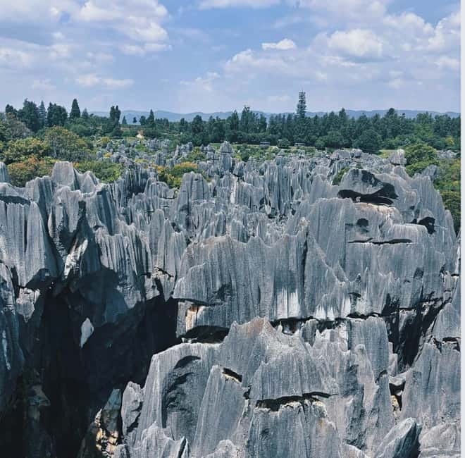 Kunming: Stone Forest, Roast Duck Lunch and City Tour - Yiliang roast duck lunch, including halal and the solo-food reality