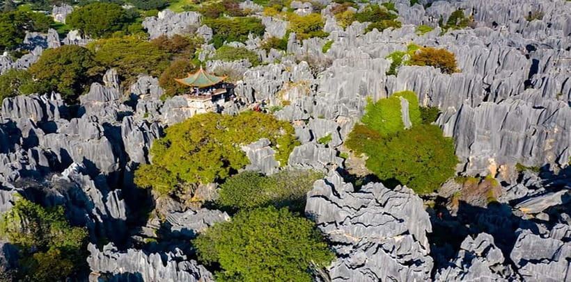 Kunming: Stone Forest, Roast Duck Lunch and City Tour - Choosing your option: Stone Forest only or Stone Forest plus Kunming