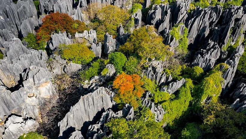 Kunming: Stone Forest, Roast Duck Lunch and City Tour - Should you book the Kunming Stone Forest, roast duck, and city tour?