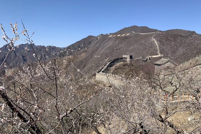 Layover Trip to Great Wall with English Driver in Beijing - The 6-Hour Rhythm: Airport Pickup, Wall Time, Airport Drop-Off