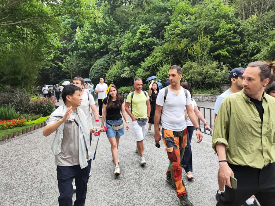Leshan Grand Buddha Scenic Area and Panda Park Day Tour - How the Panda Visit Really Feels, Cubs to Adults