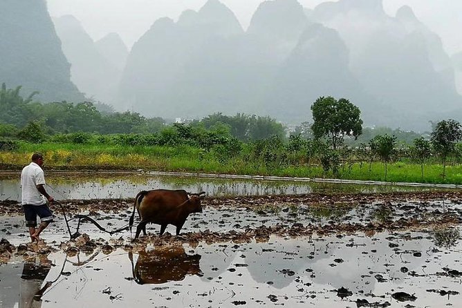 Li River Cruise with bamboo Rafting & Xianggong Hill Private Tour - Price and value: is $110 per person a good deal?